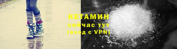 трава Белокуриха