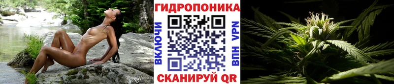 Бошки Шишки тримм  МЕГА ТОР  Рудня 